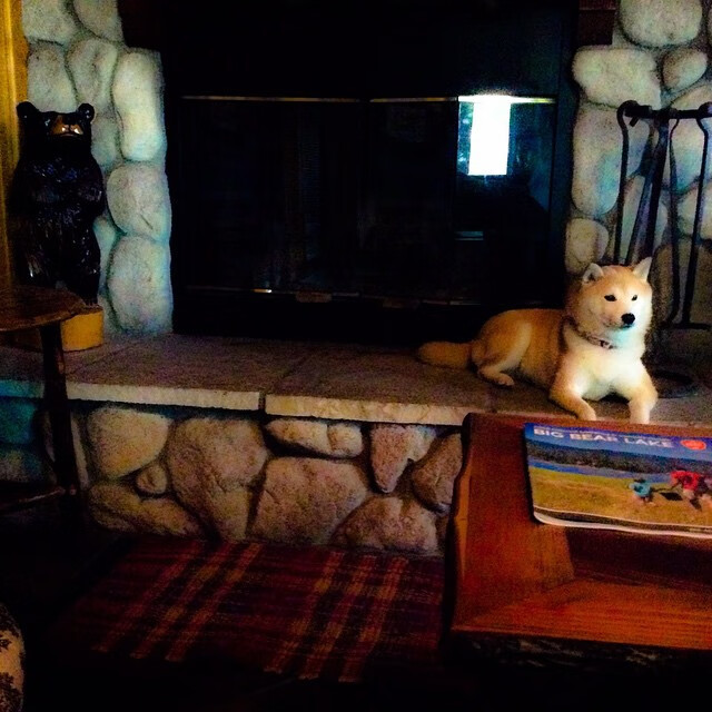 “西甲传奇对决：老将再现巅峰，点燃赛场激情”，西甲传奇球员