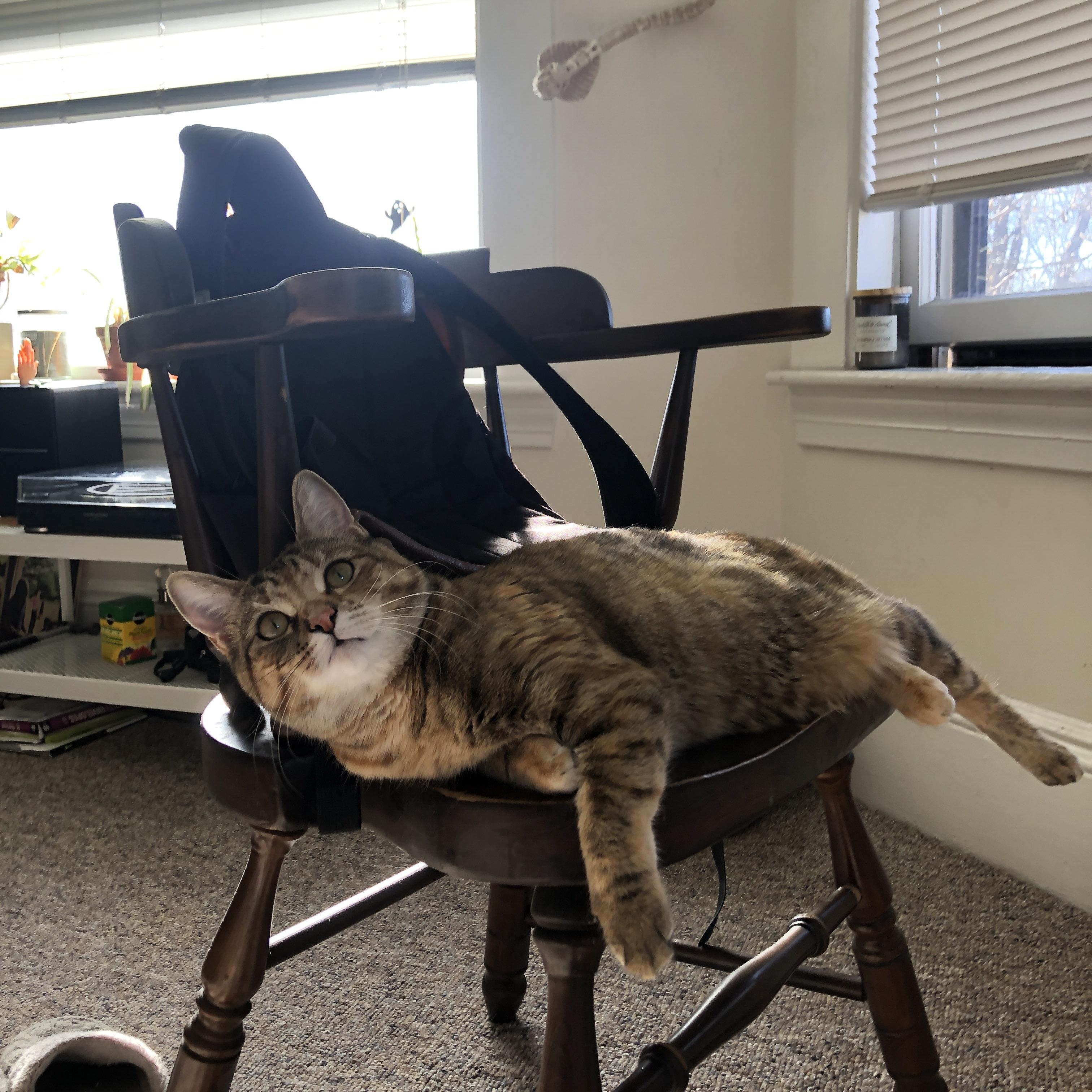 塞内加尔队在巴黎奥运会比赛中展现出强大的远射能力，塞内加尔足球运动员