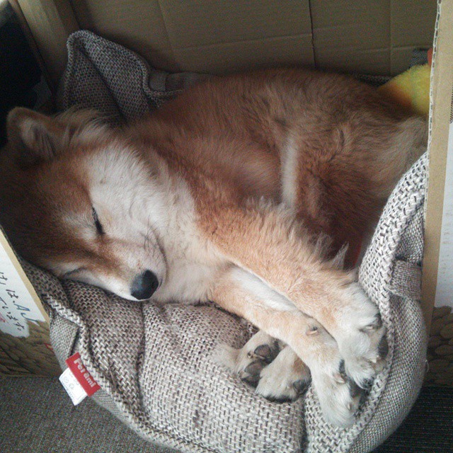 社区马拉松：全民健身新风尚，马拉松志愿者活动方案