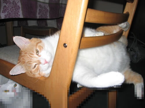 足球游戏内容与联赛深度联动打造IP化运营，足球游戏网络