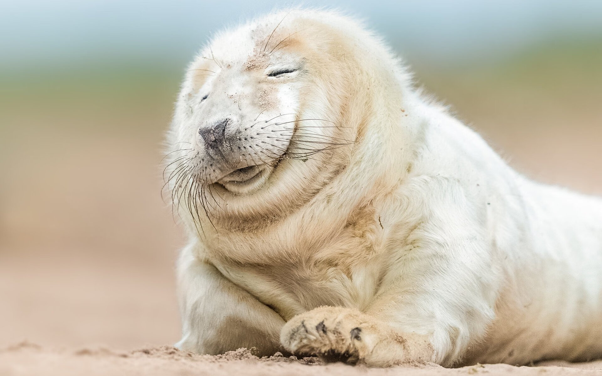 官方乒乓球裁判系统培训启动，国际认证~乒乓球裁判教学视频