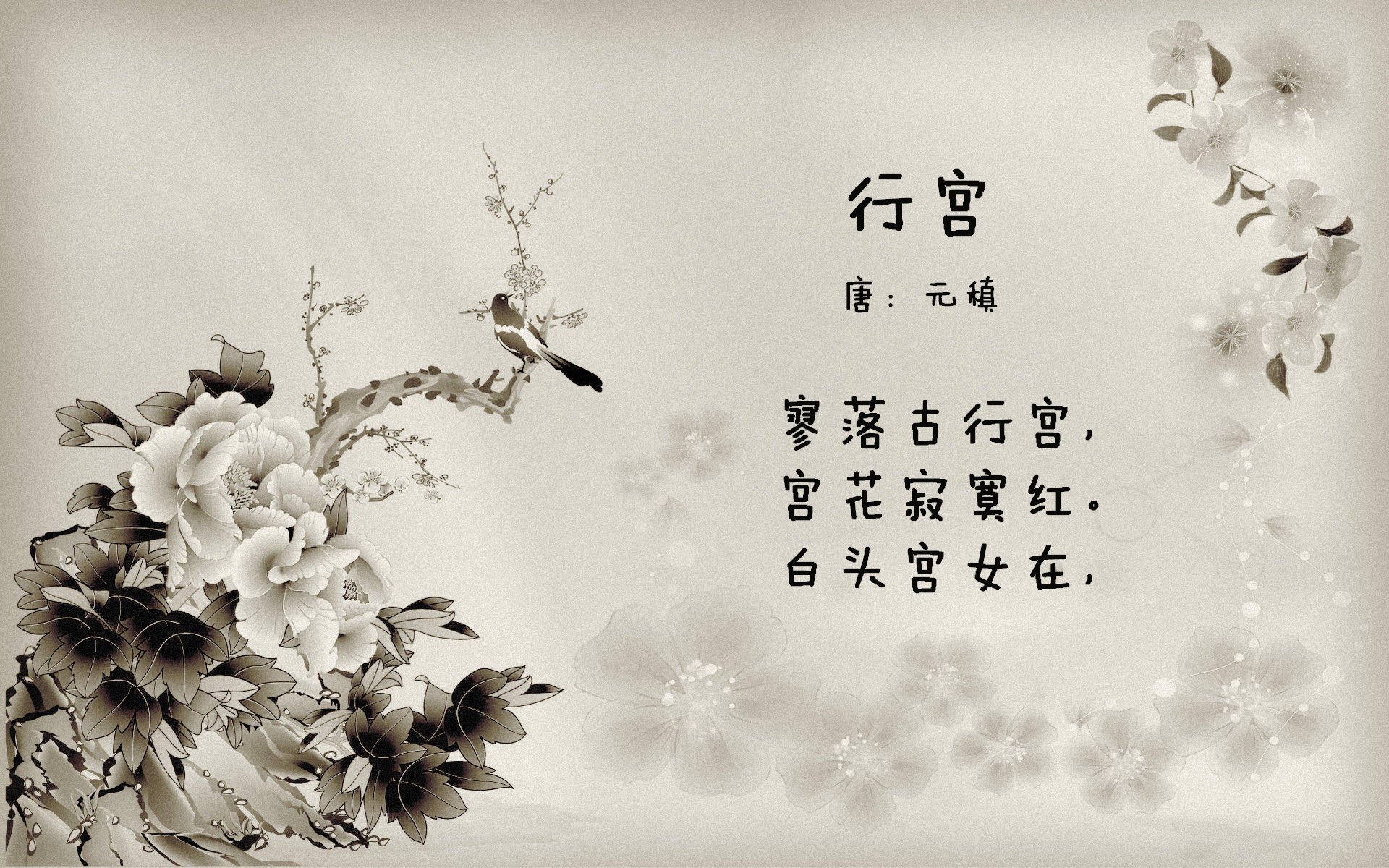 布莱顿中场组织出色，海鸥军团有望挺进前十，布莱顿海湾