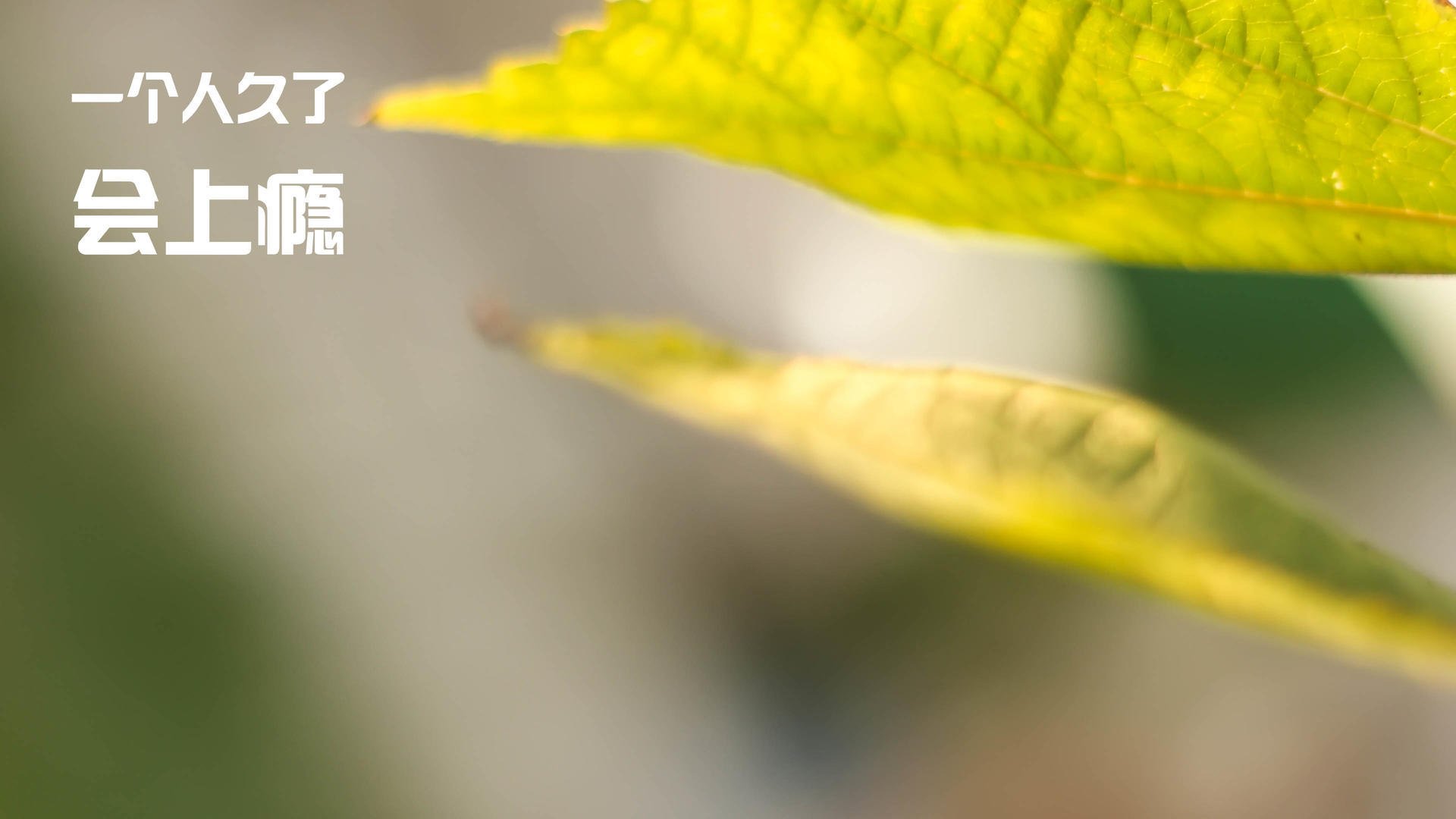 是否应将球员公益成果纳入联盟奖项系统