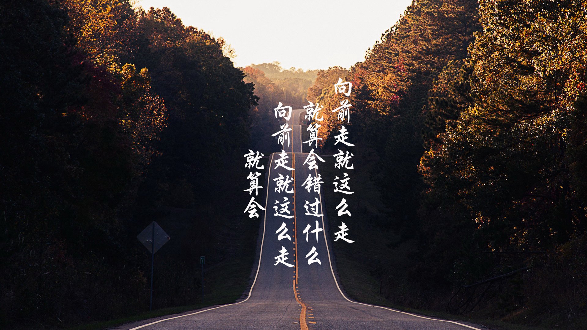 日本骑手大和田智子在2024年东京国际障碍赛中夺得个人冠军，展现出色技艺。