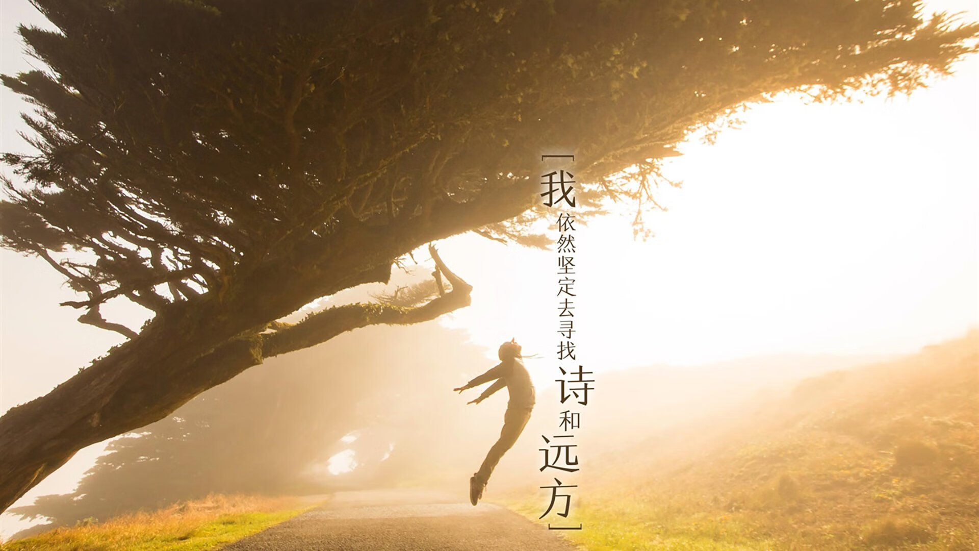 日本代表团以巴黎奥运会为目标，视亚运会为“试金石”。