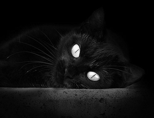 纽卡斯尔联客场4-0完胜伊普斯维奇,豪取三连胜,纽卡斯尔联足球队