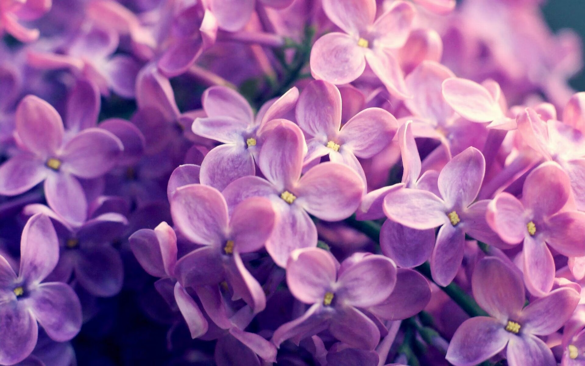 维克托·文班亚马(Victor Wembanyama)当选2024年NBA最佳新秀,nba2002年最佳新秀