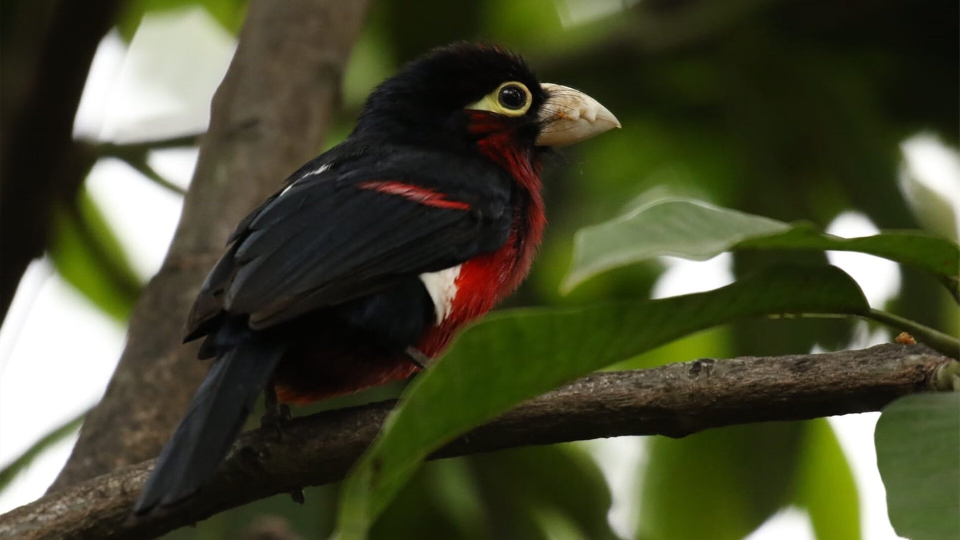 长春亚泰负于贵州恒丰智诚，中超保级战激烈，长春亚泰还在中超吗