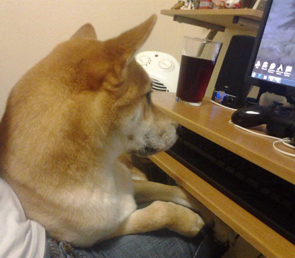 阿拉维斯卫不住大佬,击败豪门巴黎圣日耳曼