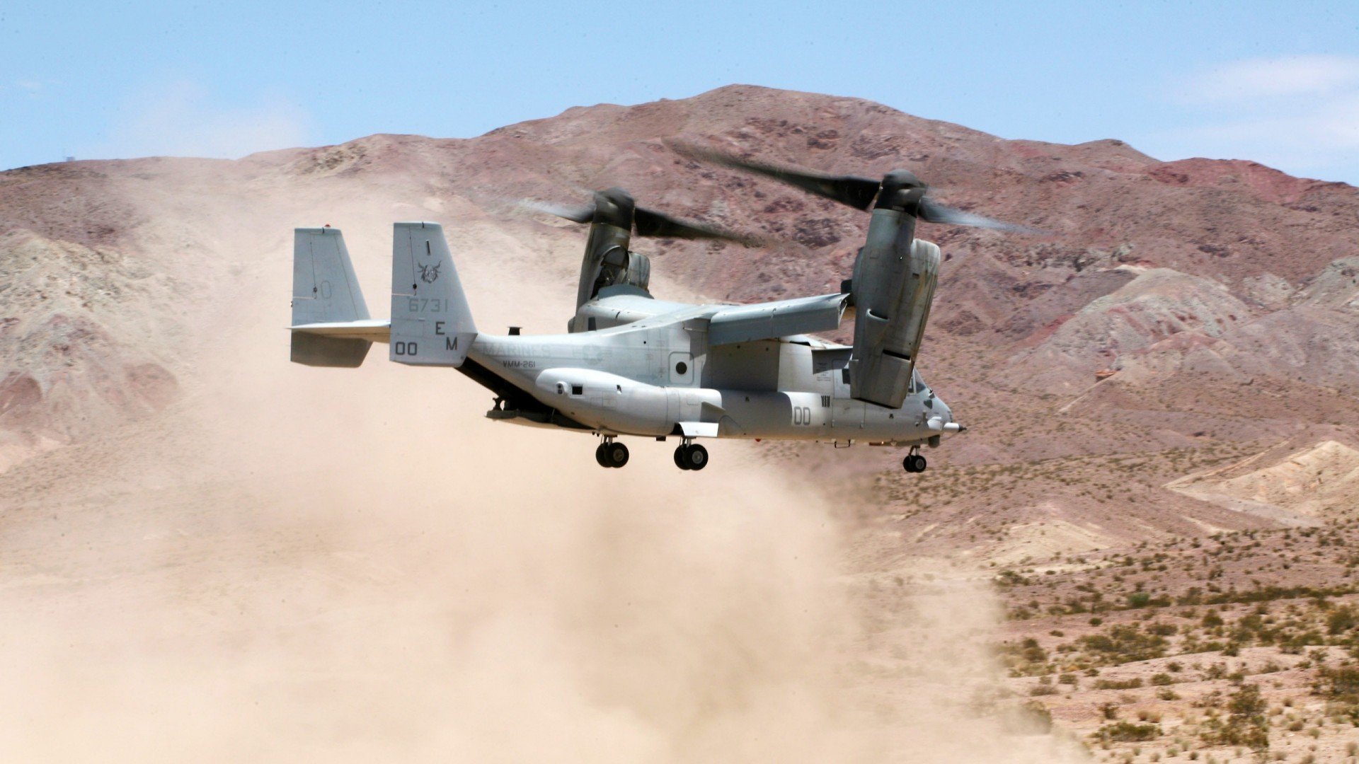 阿里离队热刺?球队能否继续保持稳定?,热刺阿里说什么了