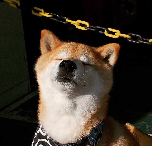 城市社区健身服务体系一体化建设模式研究，社区健身中心建设标准