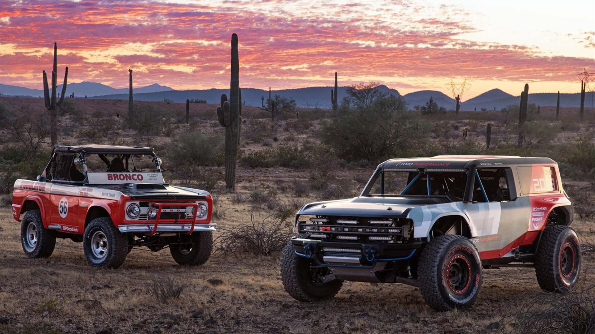 “滑轮运动新风潮!成都赛场见证未来之星的崛起”