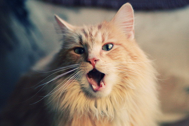 李娜亲自指导青少年练习基本步伐，李娜训练是自费吗