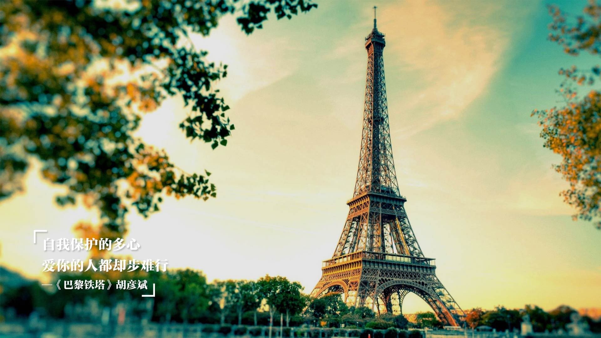 科斯赛场表现引发观众热议,科斯又名科斯姆