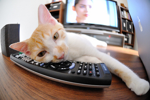 马克西姆·格鲁塞刷新个人100米蝶泳最佳