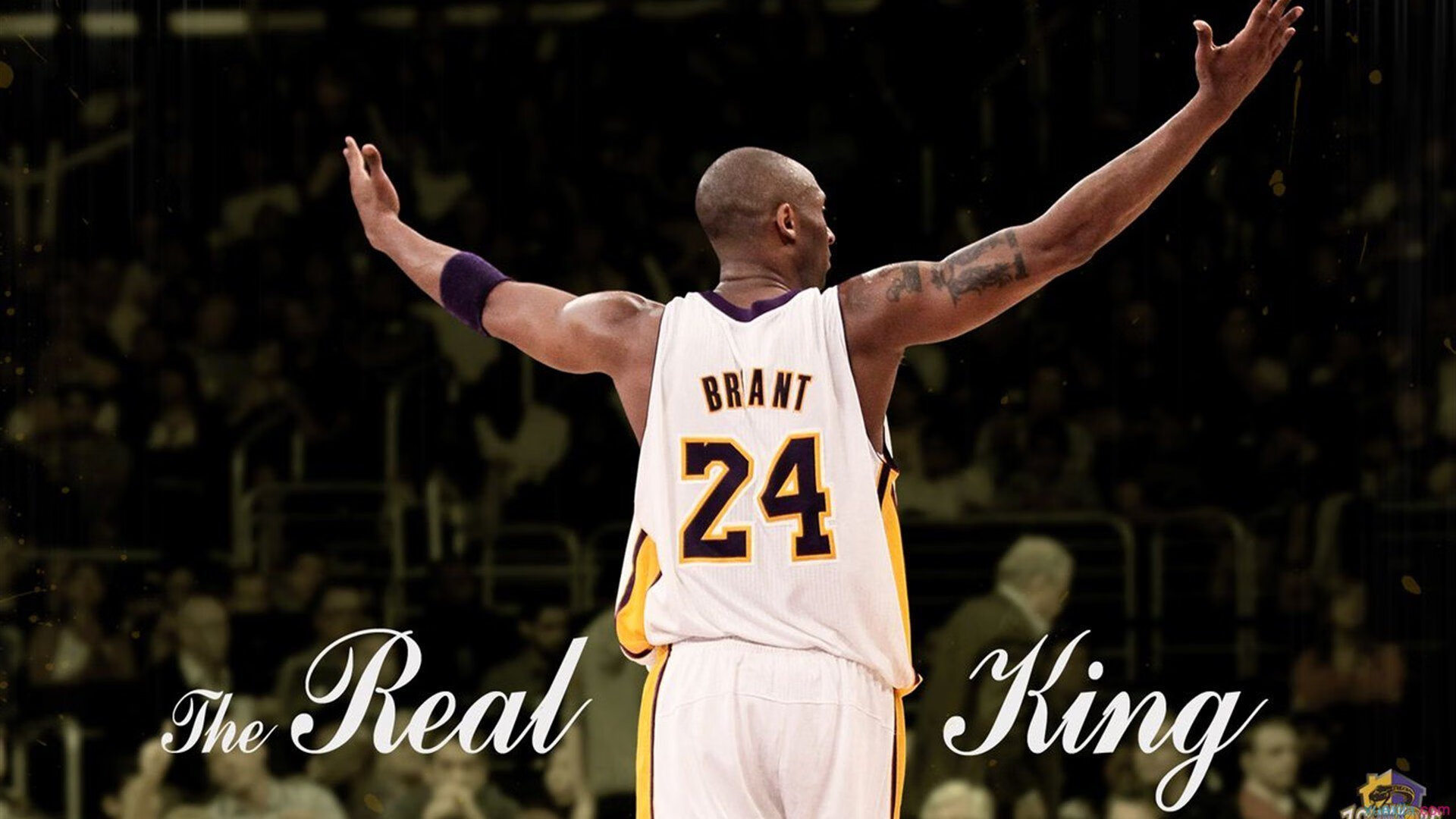 明星运动员:赛场边的微笑故事,运动场上的明星